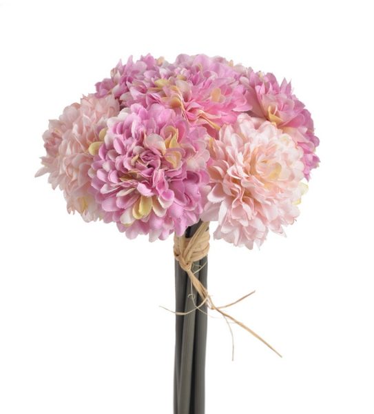 Astra  - fialovorůžová - růžová