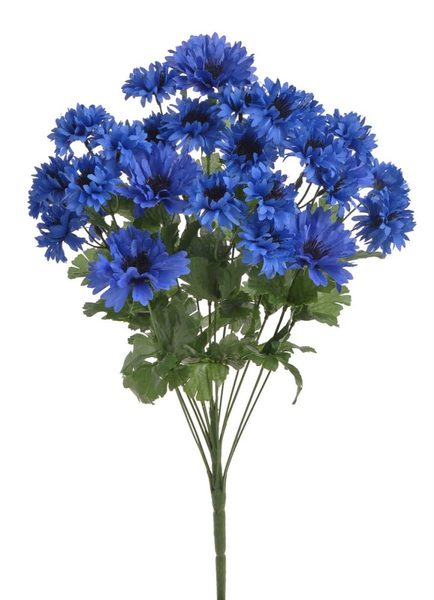 Chrpa svazek 31 květů - tmavě modrá