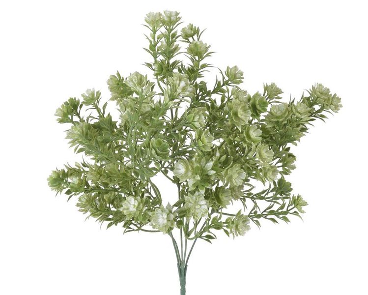 Trs rozchodník flokovaný - zelená - 34 cm