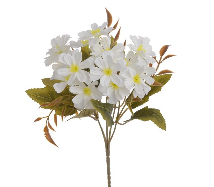 klematis / plamének - trs 5 větviček - bílá