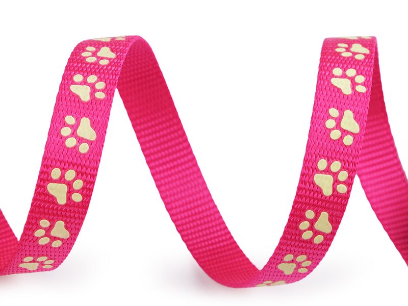 Popruh polypropylenový na vodítko / obojek, svítící ve tmě šíře 15 mm METRÁŽ