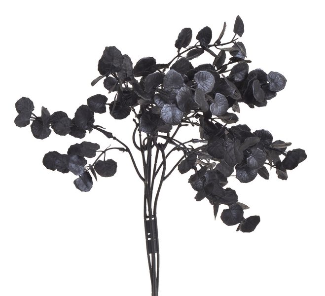 Eukalyptus trs 5 větviček – černý, 40 cm