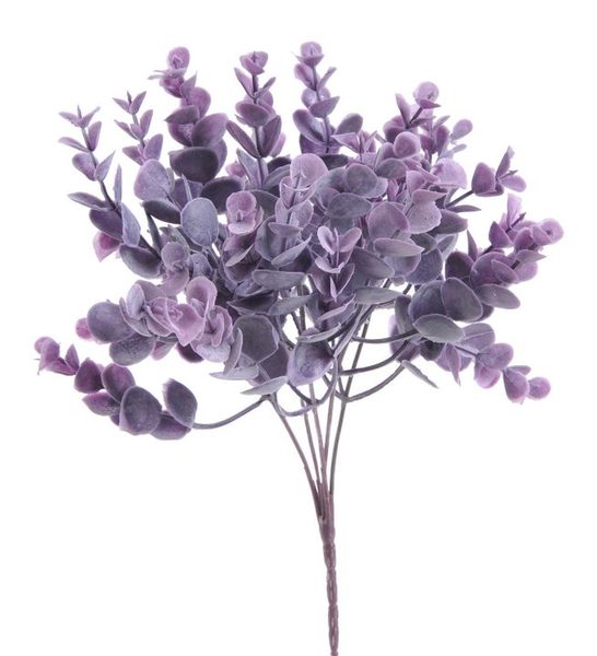 Trs eukalyptus zaprášený - fialový