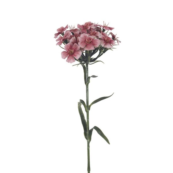 Hvozdík  55 cm X6858-05