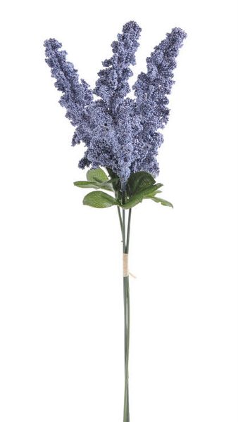 Amaranthus  - modrý 3 ks