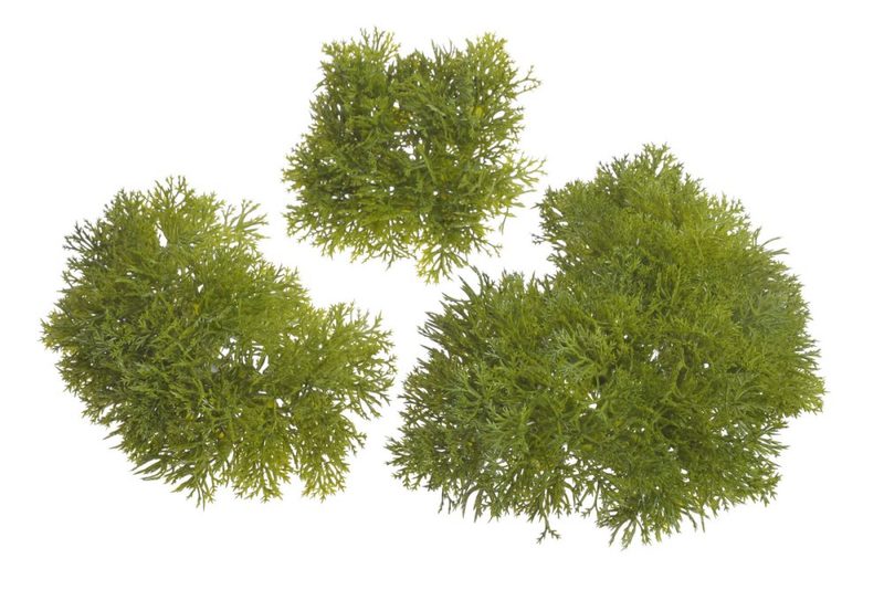 Umělohmotný mech - zelená