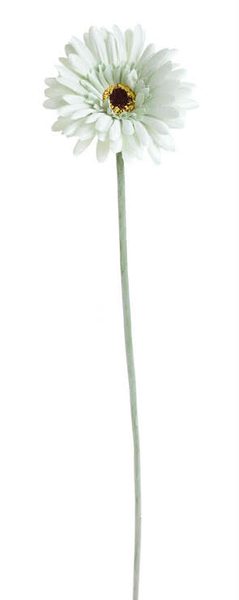 Umělá gerbera mátová 34 cm