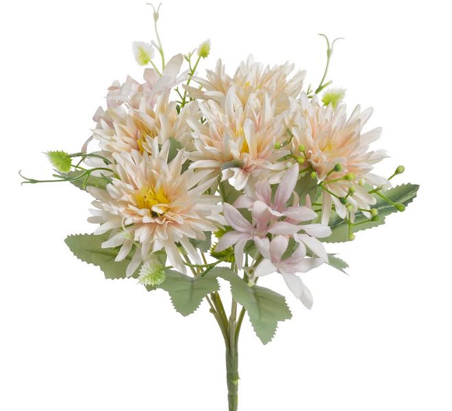 Kytice aster - meruňková