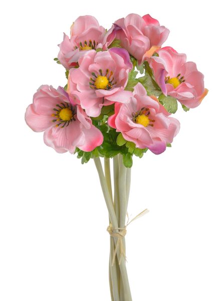 Kytice sasanek anemon růžová s fialovou 6 kusů