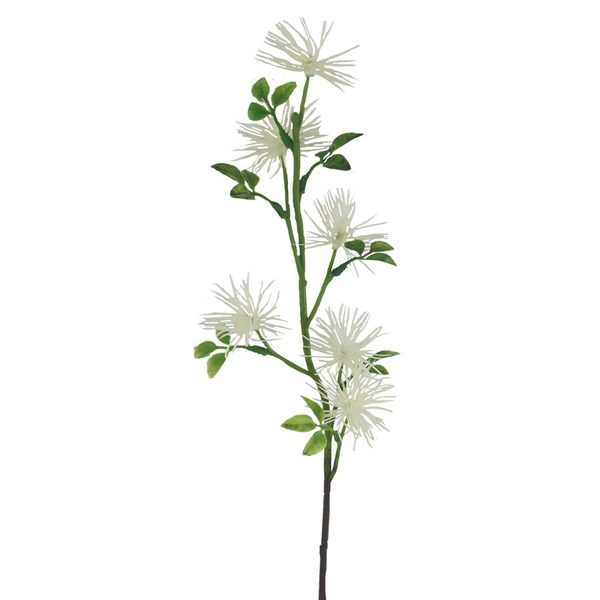 Okrasný bodlák X6832-26 - 52 cm