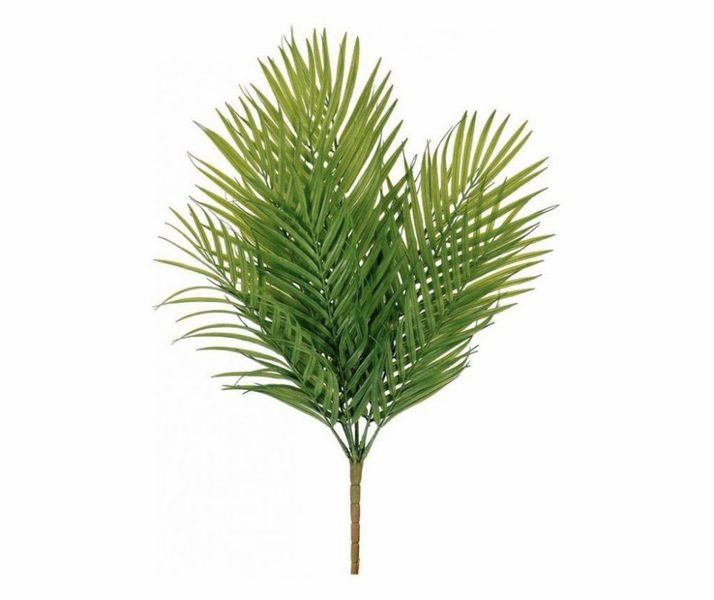 Palmové listy trs 60 cm