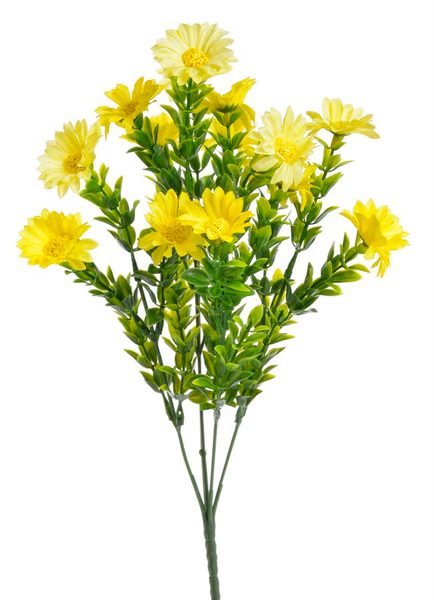 Trs mini kopretin - žlutá