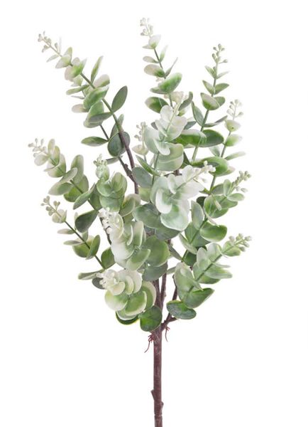 Eukalyptus 45 cm - zelená - bílá