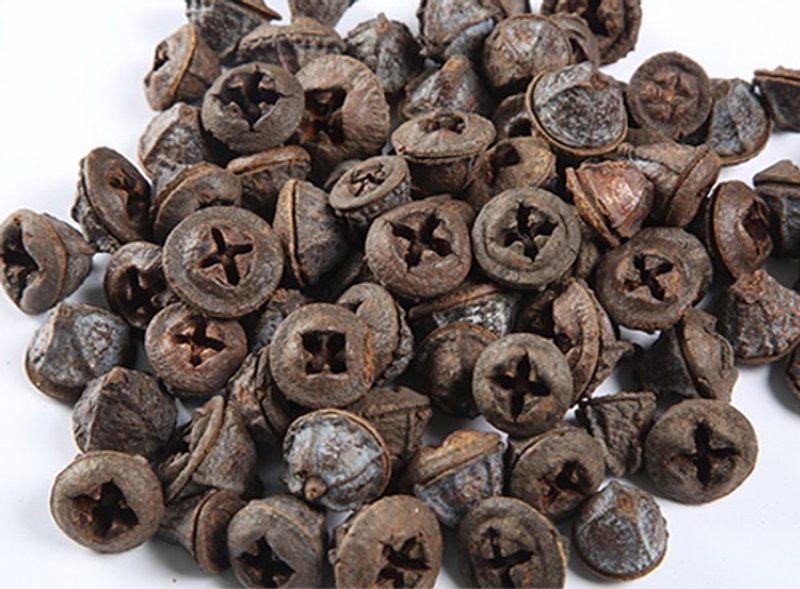 Plody eukalyptu 200 g - natural