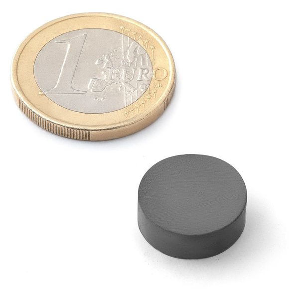 Feritový magnet Ø 15 mm FE-KT-15-05 10 kusů