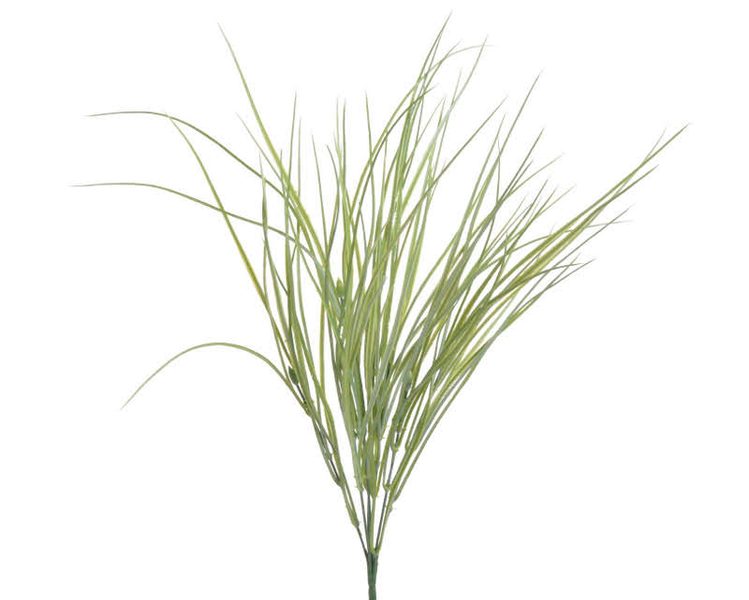 Tráva dracéna 54 cm - sv. zelená