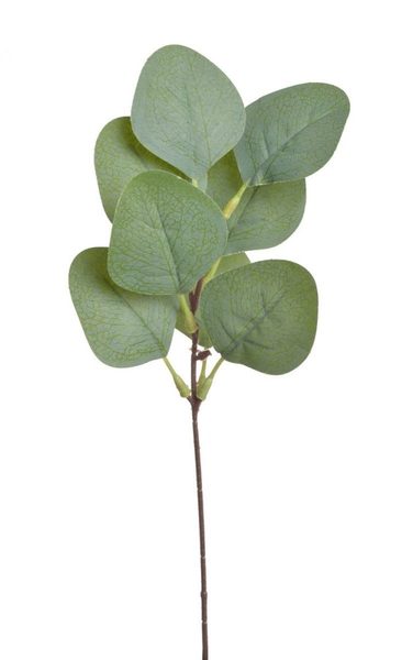 Umělá větvička eukalyptus populus