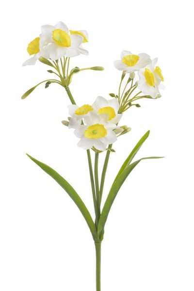 Umělá rostlina narcis trs - bílá 30 cm