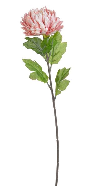 Chryzantéma 58 cm - růžová s krémovým středem