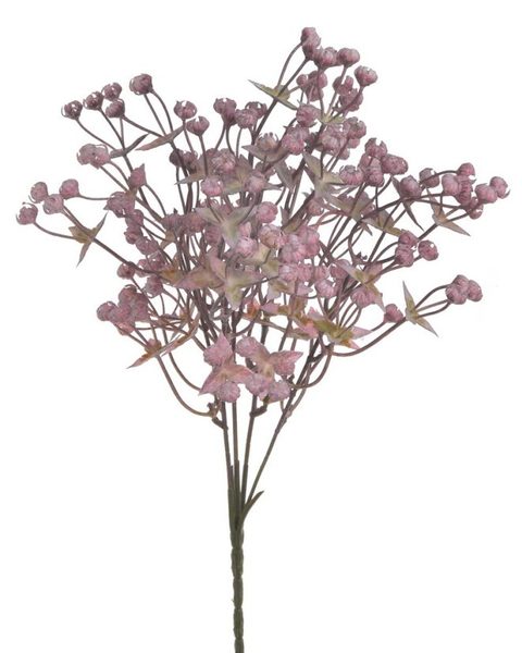 Gypsophila trs - růžová - 33 cm