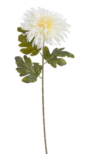Chryzantéma 72 cm - bílá krémová