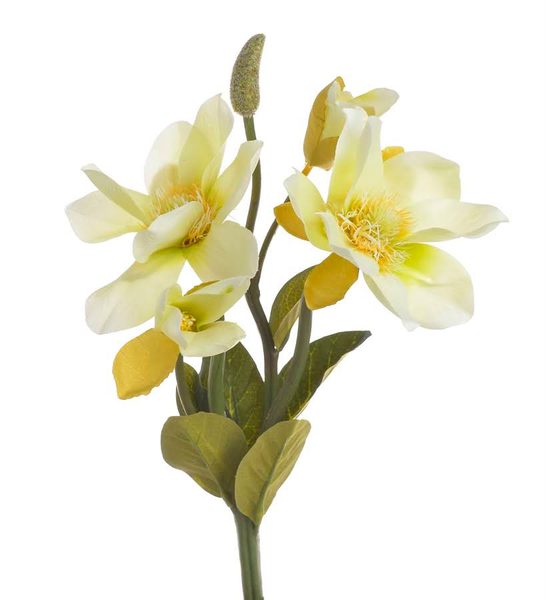 Magnólie 31 cm - žluto krémová