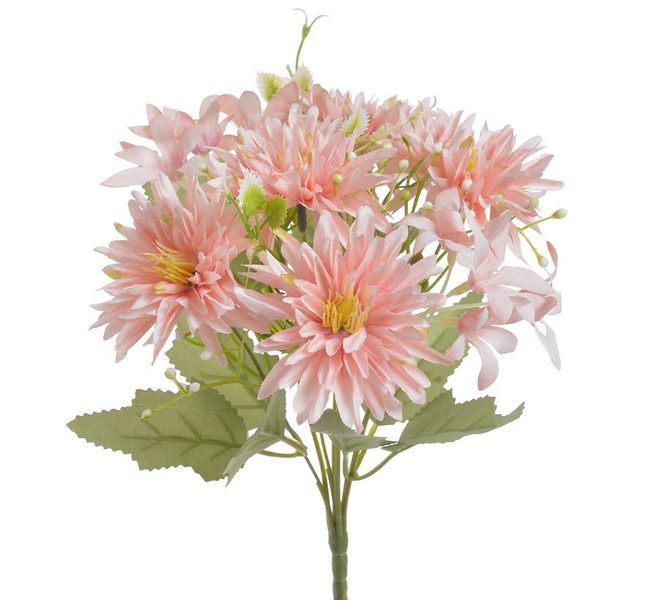 Kytice aster - světle růžová