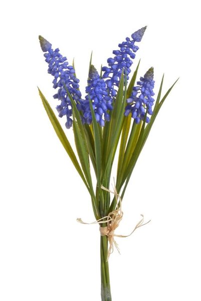 Modřenec ( 4 ks) - modrá 27 cm