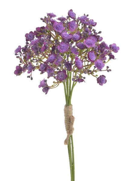 Gypsophila - šater 5 ks - fialová