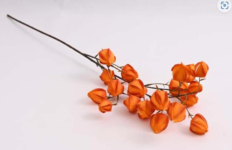 Větev physalis 96 cm, oranžová 371355 - 96 cm
