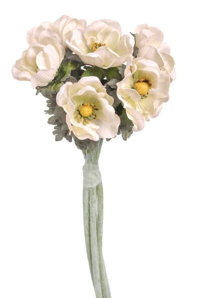 Kytice sasanek anemon 6ks - krém s nádechem do růžova