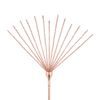 Rosy Gold - Feather Tickler & Whip