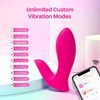 Lovense Flexer Insertable Dual Panty