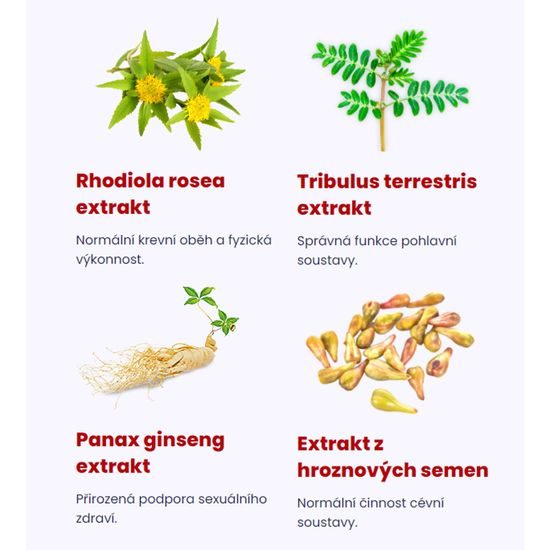 Proerecta Shot 60 ml