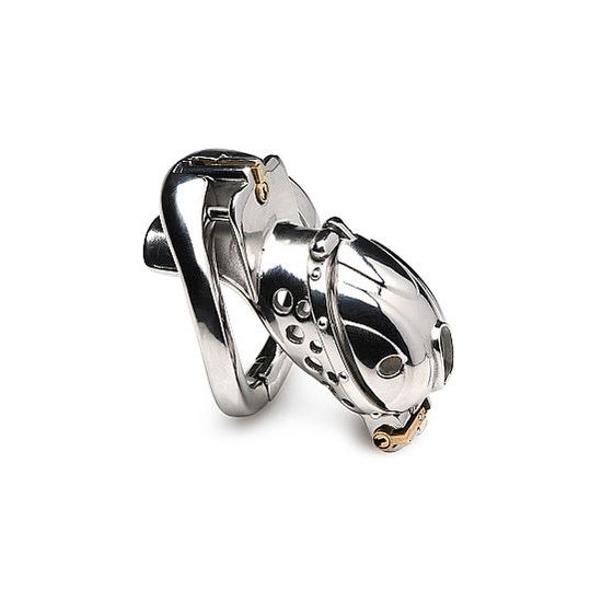 Master Series Deluxe Locking Chastity Cage