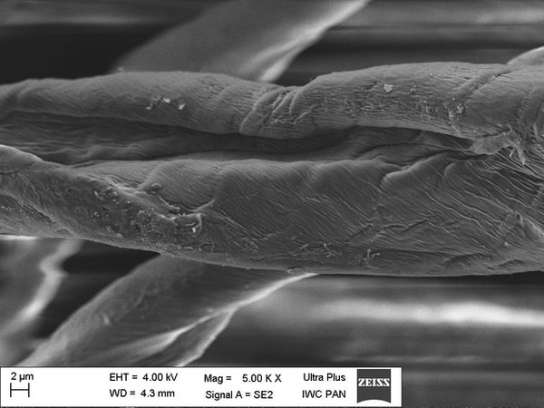 Nanosilver material under the microscope!
