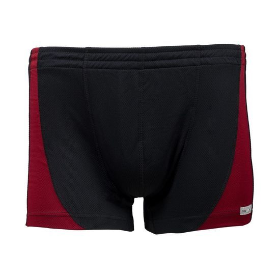 Men's boxer briefs nanosilver coolmax DAKAR