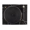 Auris Audio Funky