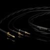 Final Audio D7000 (rozbaleno)