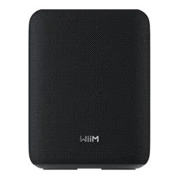 WiiM Sound Lite - černá