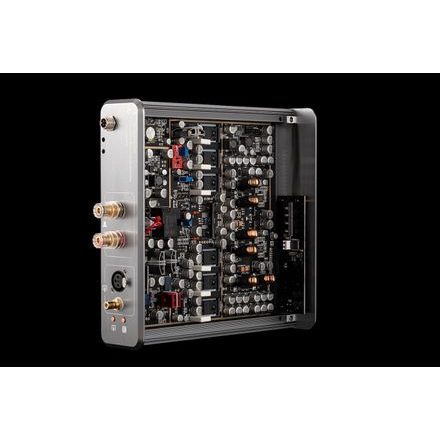 Burson Audio Timekeeper GT4 MAX - pár