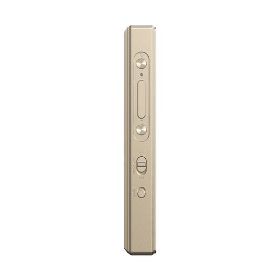 FiiO M21 - titanium
