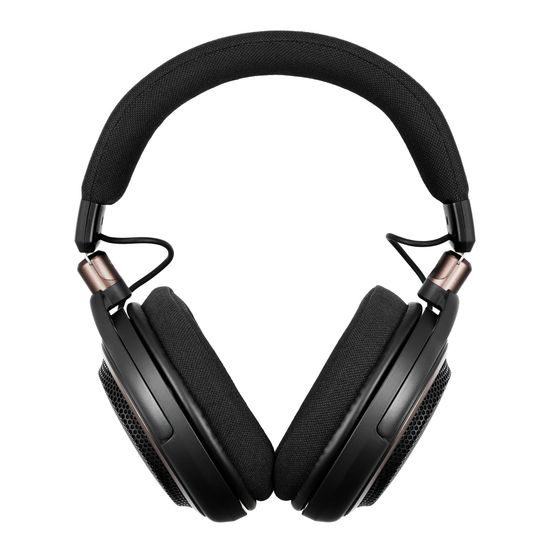 Audio-Technica ATH-AL5NC