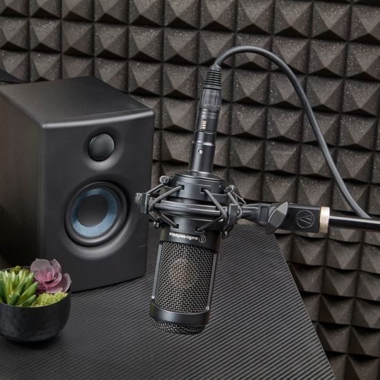 Audio-Technica AT2035