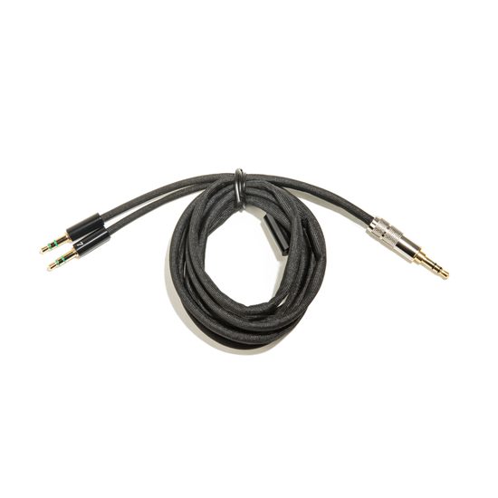 HIFIMAN HE-R10P
