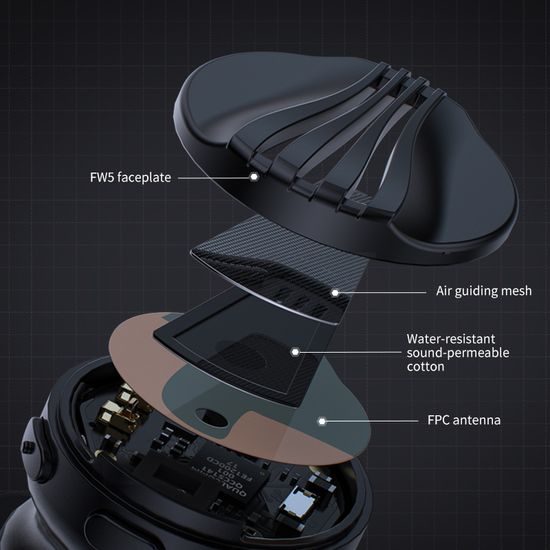 FiiO FW5
