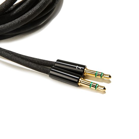 HIFIMAN HE-R10P