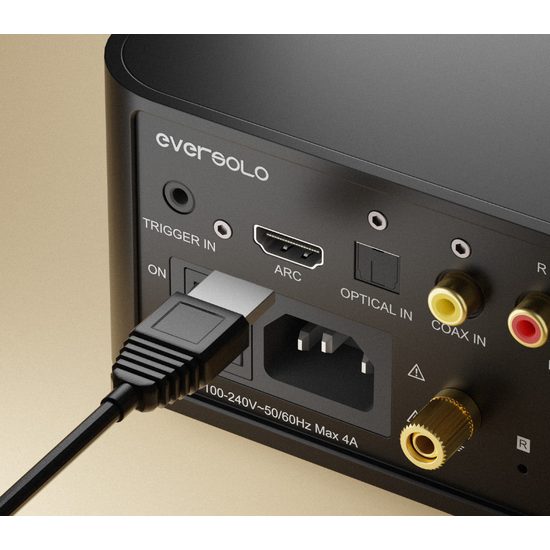 EverSolo Play CD Edition