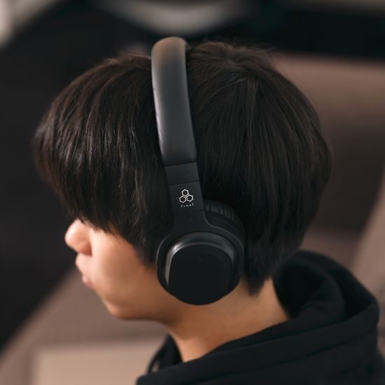 Final Audio UX3000 SV