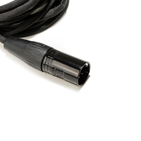 HIFIMAN HE-R10P